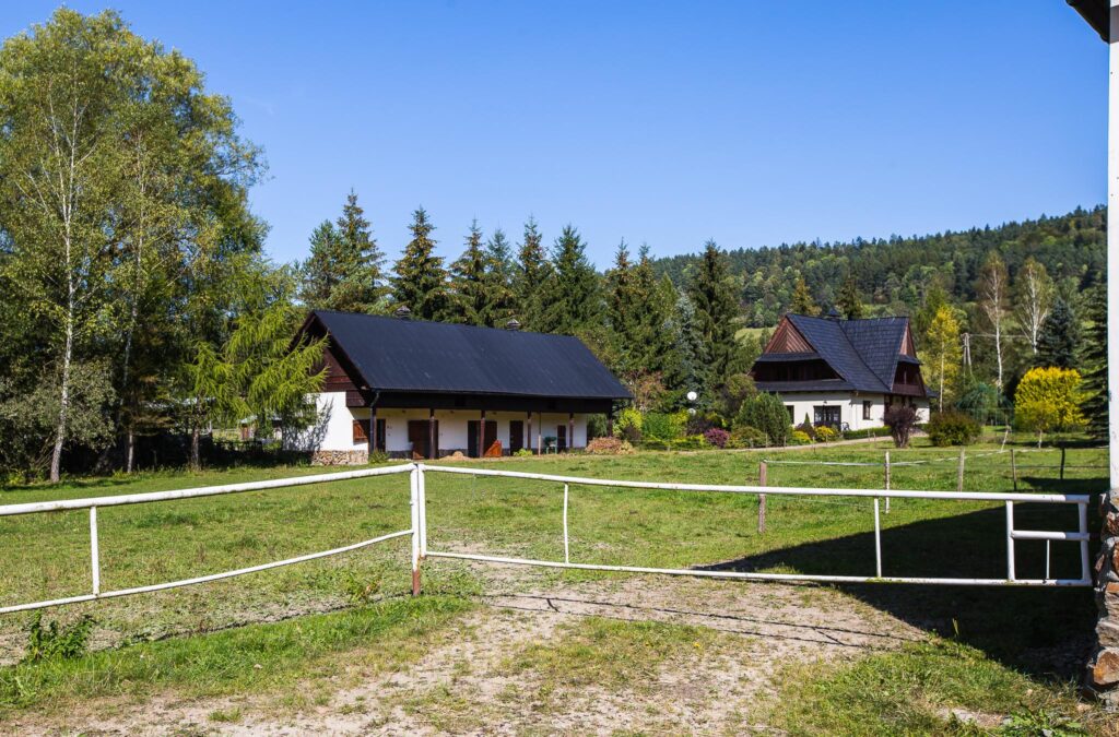 Dom w Bieszczadach ze stadniną koni - zdjęcie 8