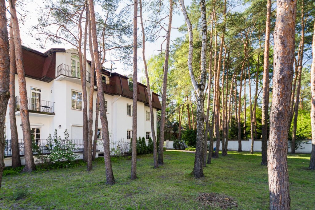 Apartament w Aninie wśród drzew - zdjęcie 15