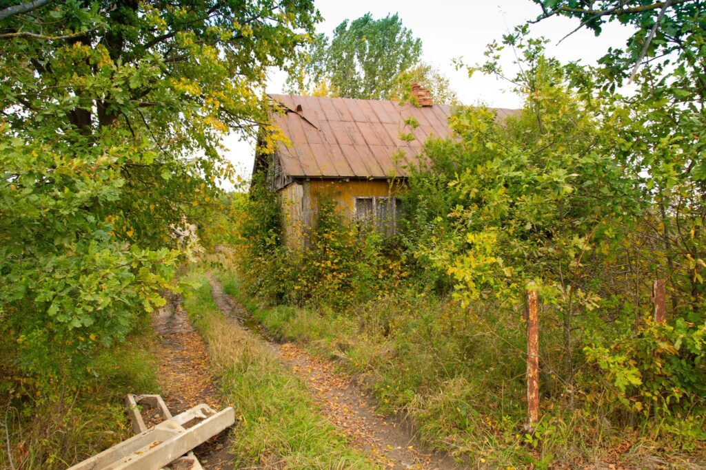 Siedlisko na skraju wsi w sercu zielonego Podlasia - zdjęcie 11
